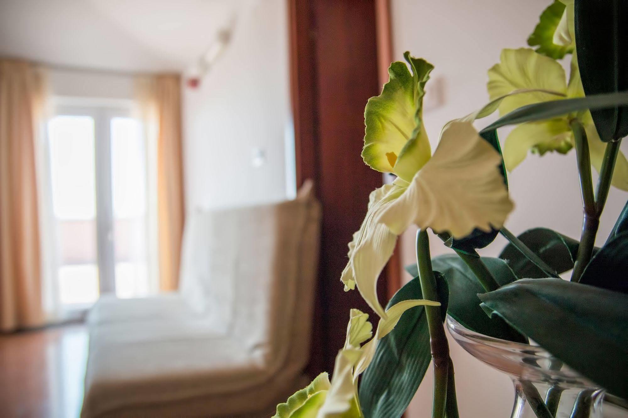 Hotel Hygge Biograd Na Moru Bagian luar foto